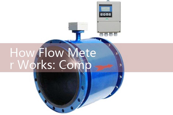 How Flow Meter Works: Comprehensive Guide to Basic Liquid and Gas Sensors